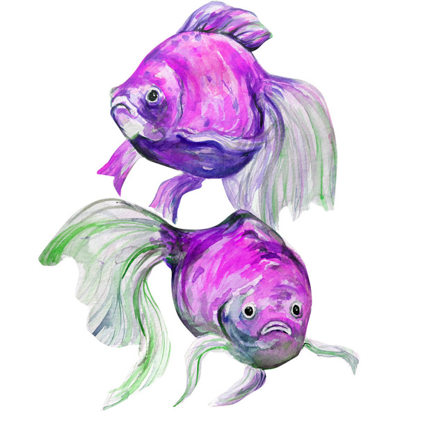 Hermosa ilustración de arte de peces acuarela
 - Foto, Imagen
