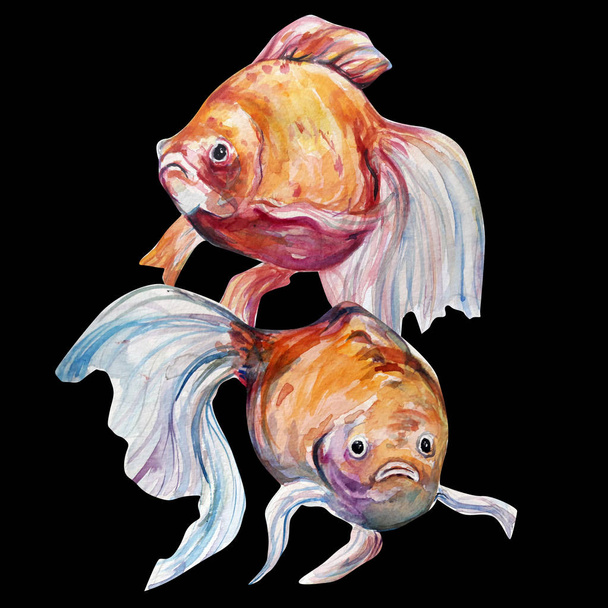 Piękny kolor wody ryba ilustracja sztuka - Zdjęcie, obraz