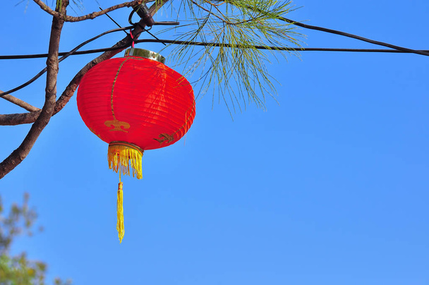 Rote chinesische Lampe am Baum im neuen Jahr - Foto, Bild