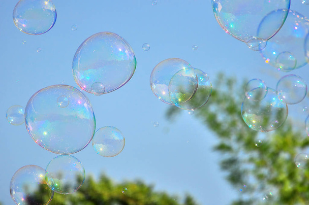 Burbujas de jabón sobre fondo natural
 - Foto, Imagen