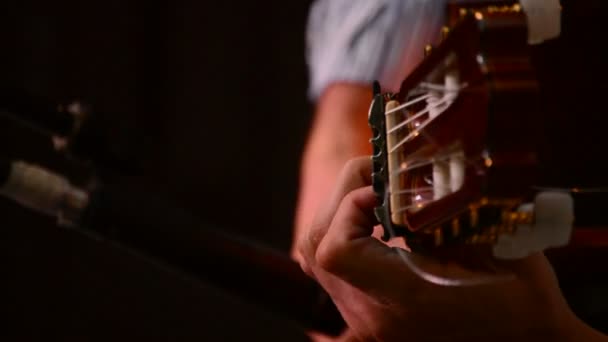 フラメンコのギタリスト、手クローズ アップ - 映像、動画