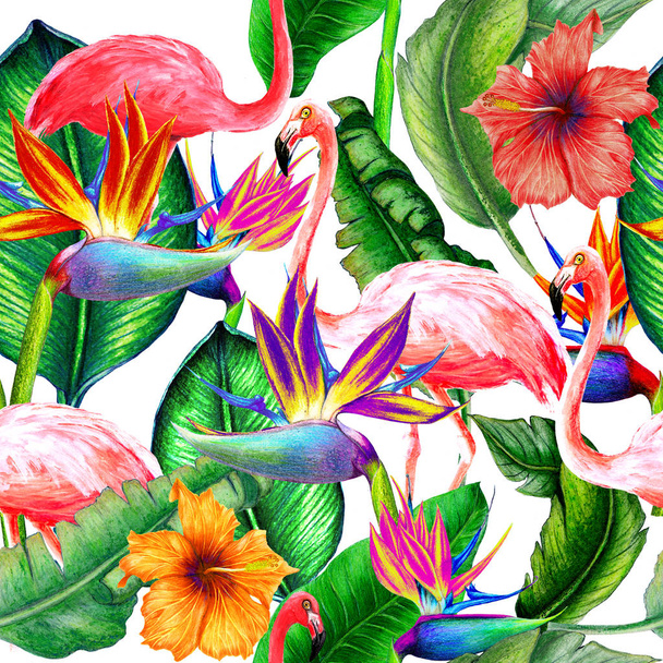 水彩画、フラミンゴ、葉のシームレスな熱帯パターン - 写真・画像