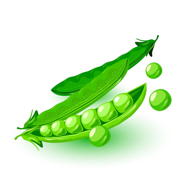 Fresh podded green peas. Legume plant. Vegetable for vegetarian, vegan kitchen, alcaline diet. - Vector, Image
