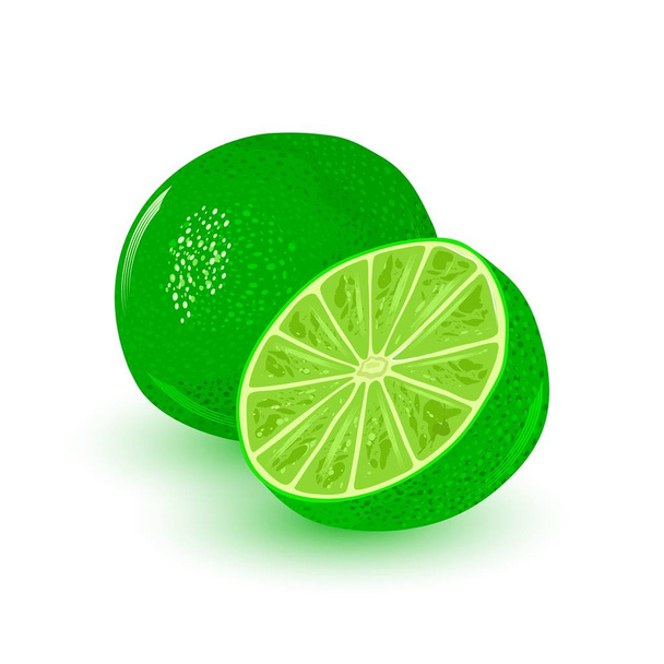 Čerstvé a šťavnaté vápno. Zralé citrusové plody zelené ovoce. Přísada s kyselou chutí. - Vektor, obrázek