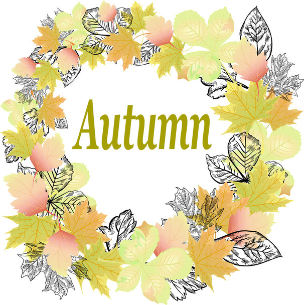 Φθινόπωρο banner φύλλα χρώμα κάρτα φόντο - Διάνυσμα, εικόνα