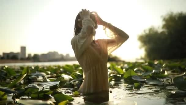 Jovem mulher em um vestido transparente em pé na água entre as folhas de lírio-água amarelo. Luz de fundo
. - Filmagem, Vídeo