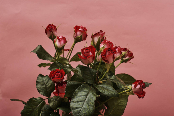赤いバラの花束フラットレイ、デコレーションコンセプト - 写真・画像