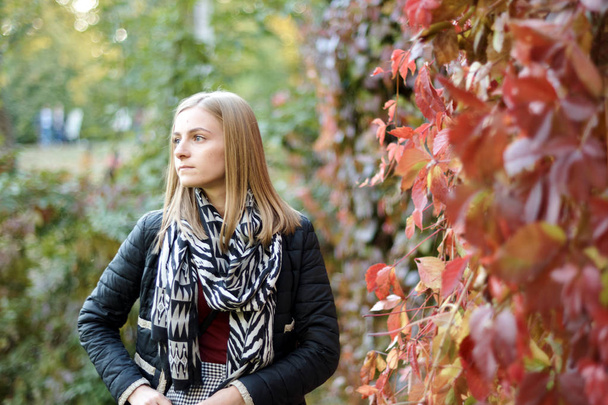 beautiful young woman in autumn park - Foto, Imagem