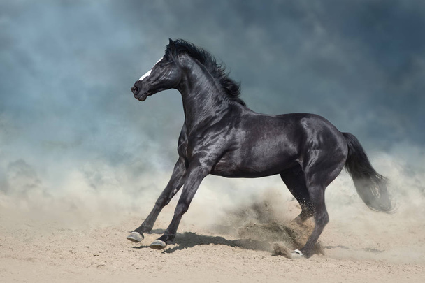 Лошадь скачет по пустыне в пыли против драматического темного неба
 - Фото, изображение