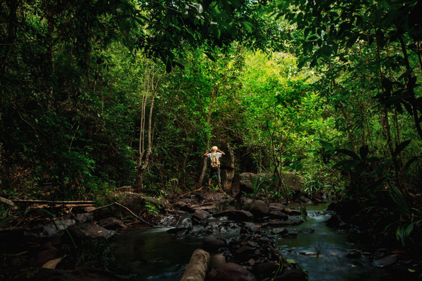 Un hombre con una mochila de pie sobre una roca en el arroyo mirando la grandeza del bosque.concept en el fondo de vacaciones de viajes forestales en los bosques tropicales de Tailandia, Phang Nga, Koh yao yai
 - Foto, imagen