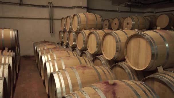 Fileiras de barril de carvalho no vinho segurar adega
 - Filmagem, Vídeo