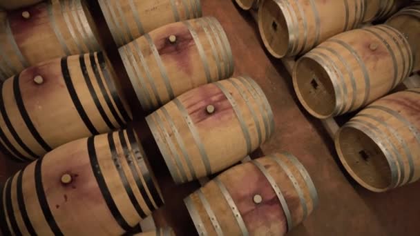 Fileiras de barril de carvalho no vinho segurar adega
 - Filmagem, Vídeo