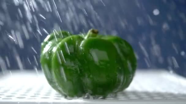 Sweet green pepper on a dark background in the studio under jets of rain. - Metraje, vídeo
