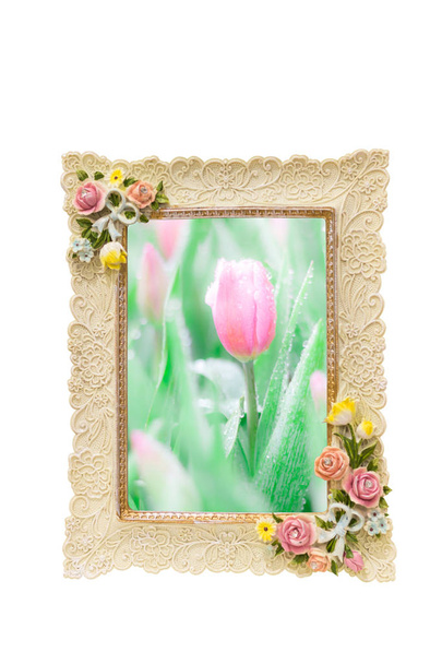Cornice fotografica con texture rosa intorno al bordo isolato su bianco e
 - Foto, immagini