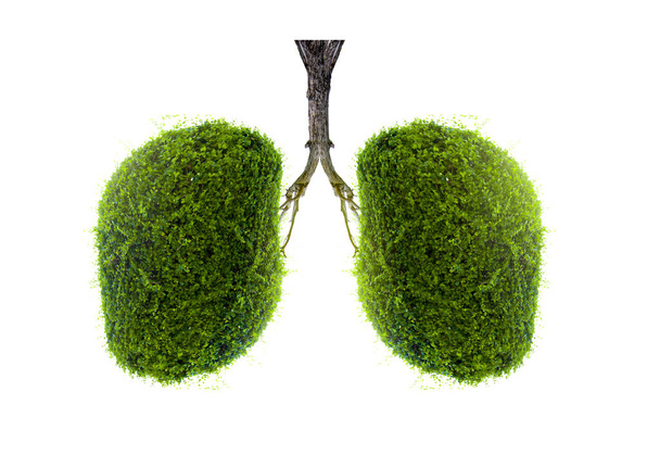 Lung green tree-shaped images, medical concepts, autopsy, 3D display and animals as an element - Foto, Imagen
