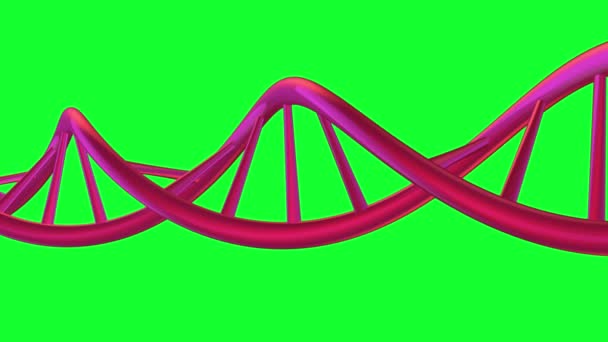 Hélice de ADN giratoria en púrpura en pantalla verde
 - Imágenes, Vídeo