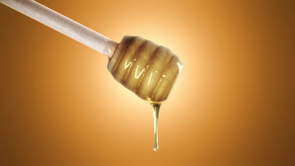 Mel gotejamento de mel dipper no fundo laranja
 - Filmagem, Vídeo