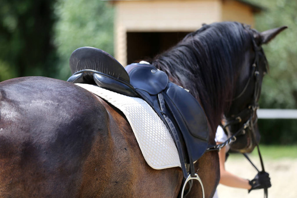 馬に乗った乗馬スポーツのための革のサドルのクローズアップ - 写真・画像