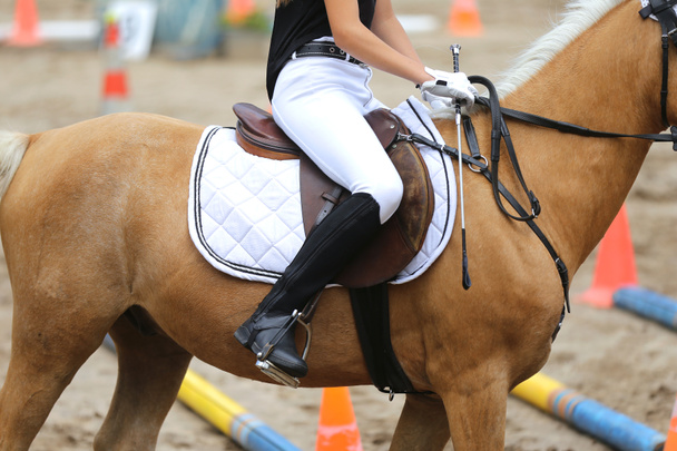 Closeup of a leather saddle for equestrian sport on horseback - Фото, изображение