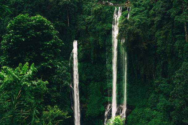 Sekumpul waterval in Bali omringd door tropisch woud - Foto, afbeelding