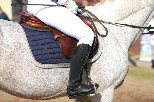 Крупним планом шкіряний сідло для кінного спорту на коні
 - Фото, зображення
