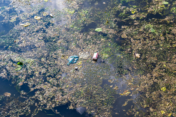 Zanieczyszczenie rzek miejskich. Śmieci i glony w rzece miejskiej - Zdjęcie, obraz