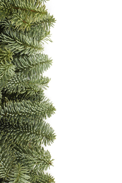 Праздничная рама с ветками елки
 - Фото, изображение