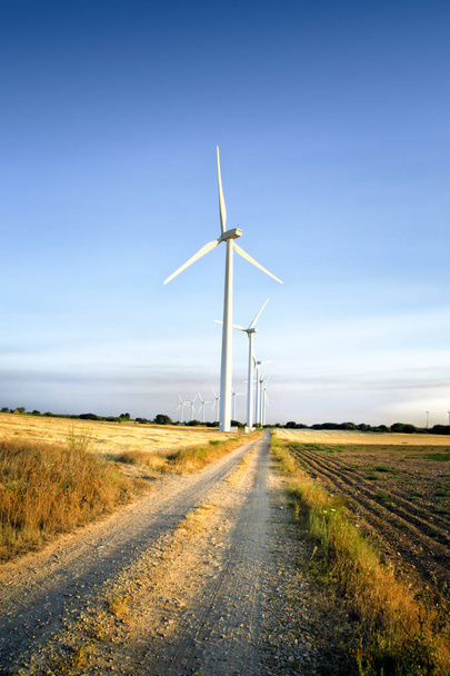 Windenergie. tarwe veld en blauwe lucht - Foto, afbeelding