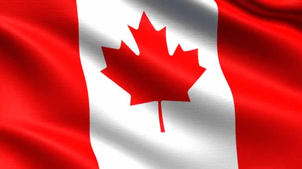 Realistinen lippu Kanada, Saumaton silmukka erittäin yksityiskohtainen kangas rakenne, 4k resoluutio
 - Materiaali, video
