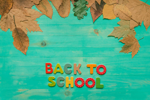 Top view of colorful text and autumn dry leaves banner over wooden background with copy space. Back to school concept. - Photo, Image
