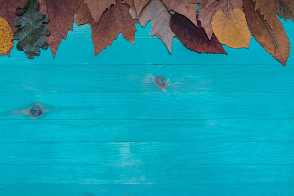 Widok z góry jesiennych suchych liści banner nad drewnianym niebieskim tłem z kopią przestrzeni. - Zdjęcie, obraz