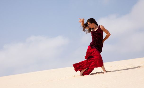 Flamenco in the dunes - Фото, изображение
