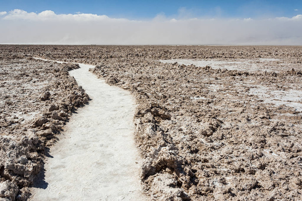 Salar de Atacama, the largest salt flat in Chile (Desert of the Atacama, Chile)  South America - Photo, Image