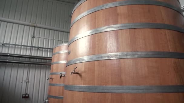 Αίθουσα εργοστάσιο κρασιού με τεράστια κάθετη κρασί Oak δασώδη βαρέλια όπου τα σταφύλια που ζυμώνονται - Πλάνα, βίντεο