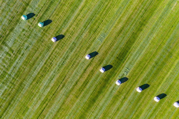 Aerial view of round hay bales  - Valokuva, kuva
