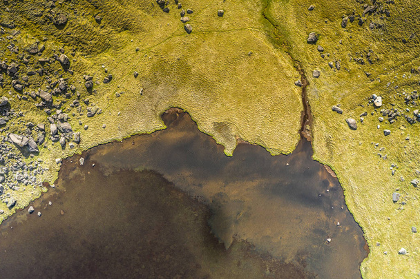 aerial view of pond and green nature - Fotografie, Obrázek