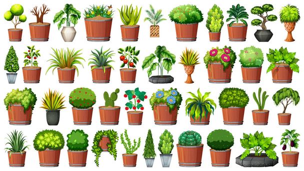 Collection of potted plants on white - Vector, Image