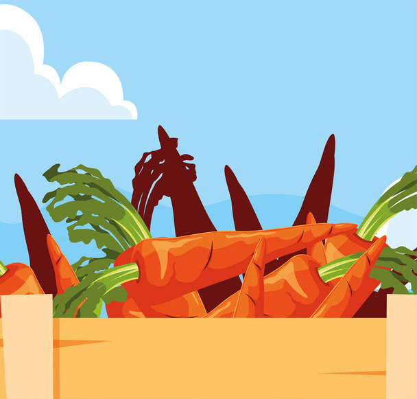 świeże marchew warzywna w drewnianym koszyku - Wektor, obraz