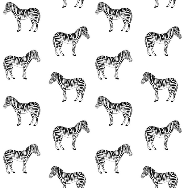 Vector seamless pattern of hand drawn zebra - Vector, imagen