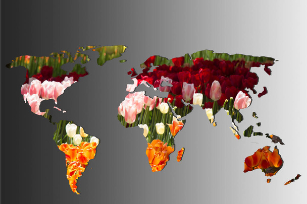 Mapa del mundo esbozado con relleno de jardín de tulipanes
 - Foto, Imagen