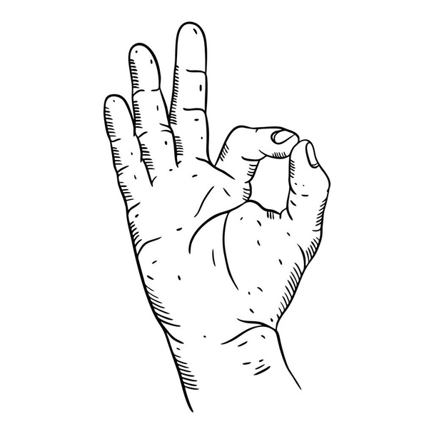 Kéz Oké kézzel rajzolt vektor illusztráció. Gravírozás stílusa. - Vektor, kép