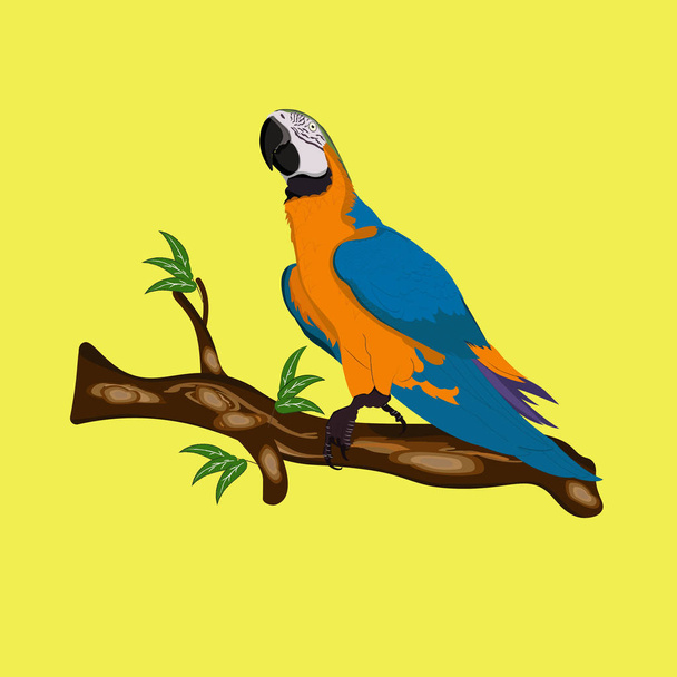 Bird Blue-and-yellow macaw standing on branches vector illustration isolate yellow background. - Vector, Image