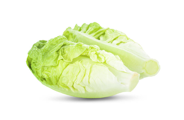 Baby Cos lettuce isolated on white background - 写真・画像