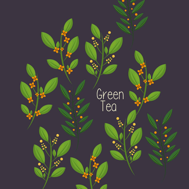Πράσινο τσάι αφήνει διανυσματικό σχεδιασμό - Διάνυσμα, εικόνα