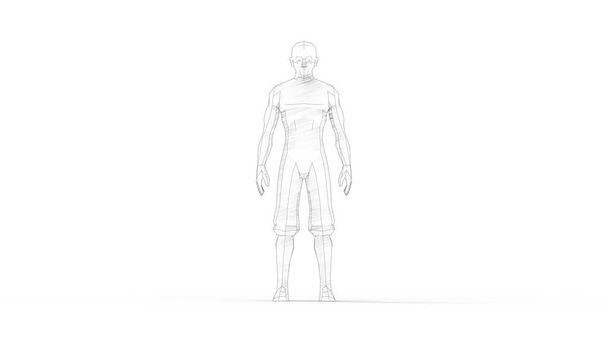 Representación 3D de un modelo humano digital aislado en fondo blanco
 - Foto, Imagen