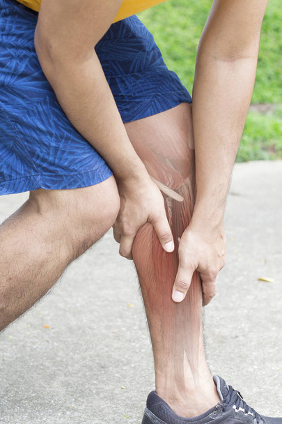 perna dor muscular fundo branco
 - Foto, Imagem