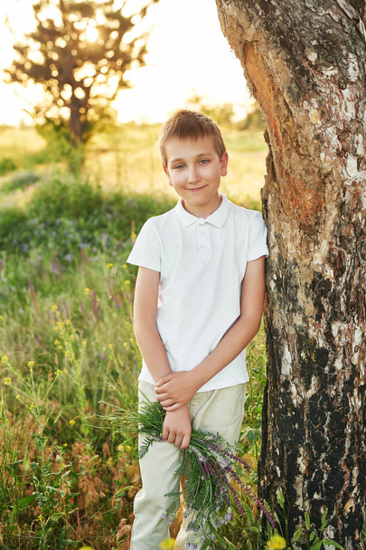 хлопчик на полі влітку на заході сонця
 - Фото, зображення