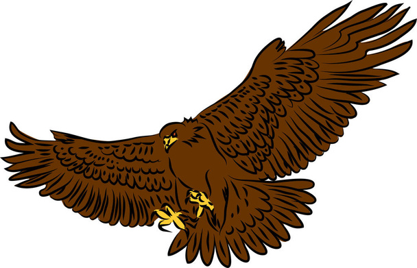 Golden eagle attacking - color vector illustration - Vektori, kuva