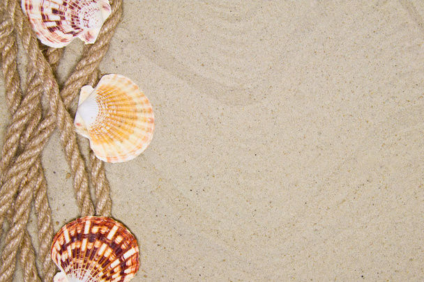 Composición plana de verano con conchas marinas, cuerda, playa de arena y espacio para texto sobre fondo arenoso
 - Foto, imagen