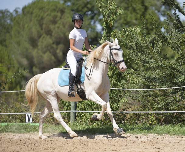 équitation fille et cheval - Photo, image